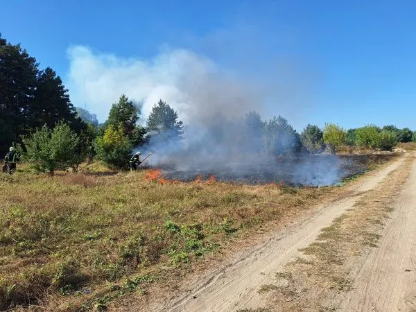 Горіли суха трава, чагарники та ліс: на Волині за добу загасили 19 пожеж в екосистемах (фото)