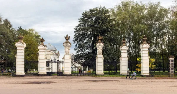 Наче у Діснеї: де на історичній Волині причаїлося селище із казковими будиночками