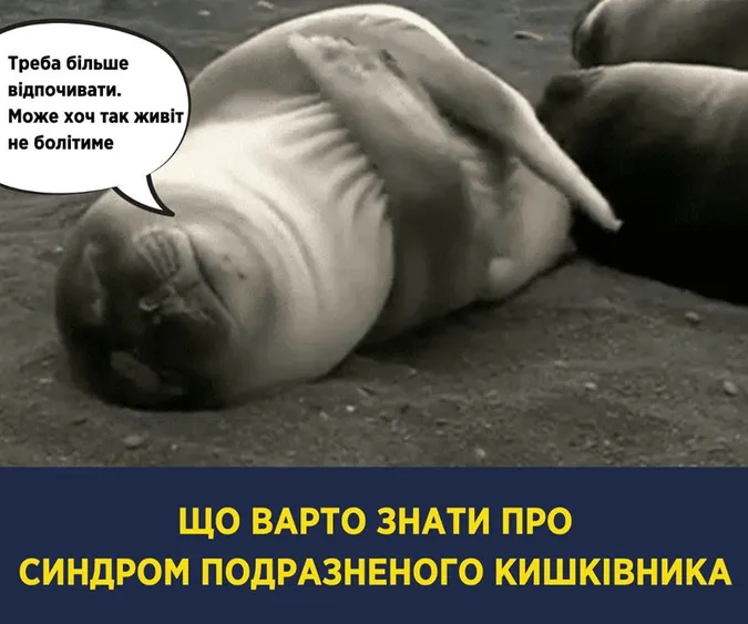 Синдром подразненого кишківника: причини та як лікувати