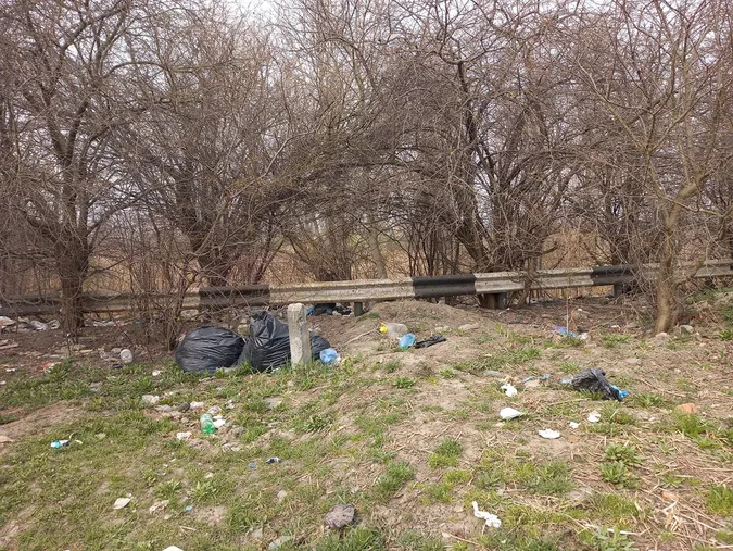 Лучани влаштували сміттєзвалище біля Нового ринку (фото)
