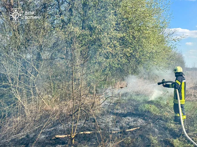 На Волині через дитячі пустощі спалахнули пожежі (фото)