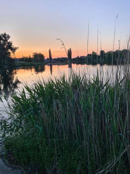 З першим промінням сонця і крапельками роси: світанок на Теремнівських ставках (фото)