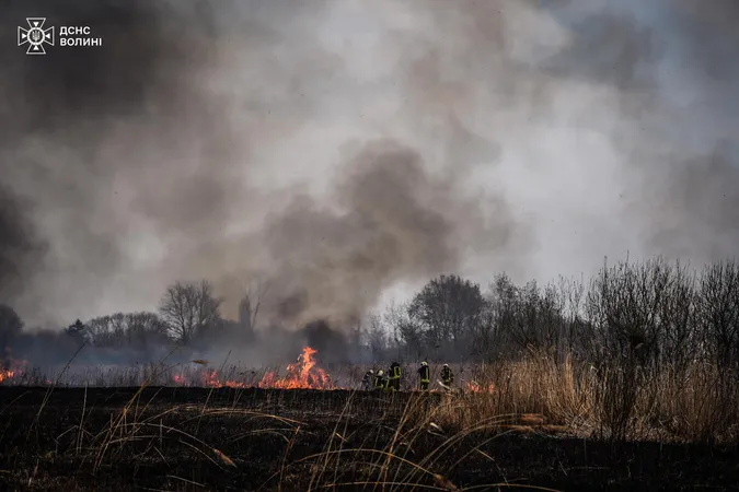 Горіло у кожному районі: на Волині – 31 пожежа (фото)