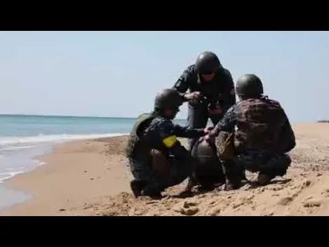 На Одещині на берег вимило дві російські якірні міни (відео)