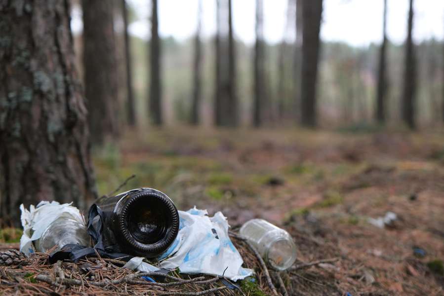 У волинських лісах за допомогою фотопасток ловлять «сміттєвих зозуль» (фото)