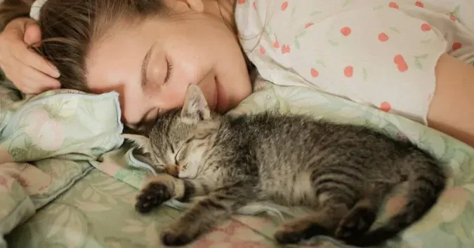Люди, які люблять гладити котів, мають спільну рису: що виявили вчені
