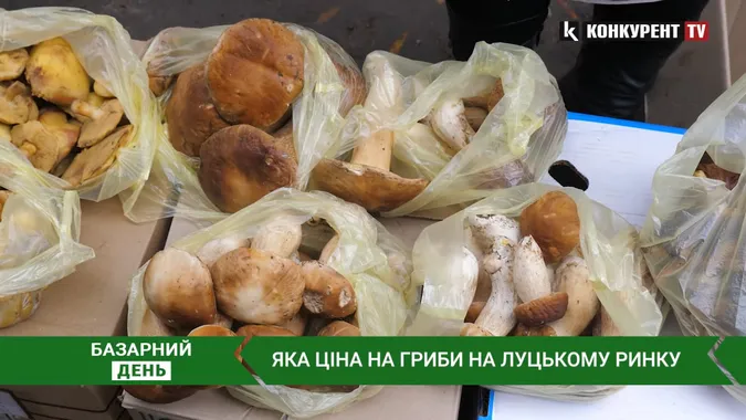 🍄Збирають в секретних місцях: які гриби продають на луцькому ринку (відео)