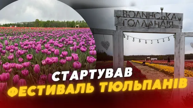 Фестиваль «Волинська Голландія» стартував (відео)