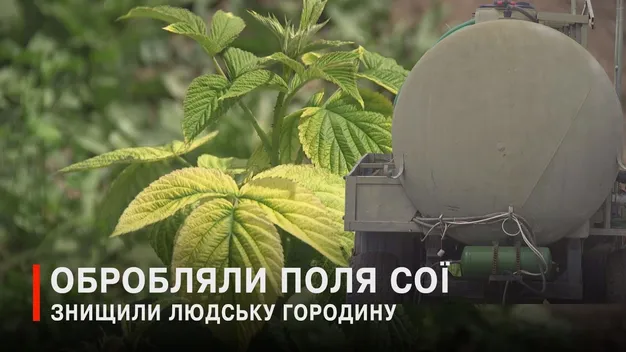 Через хімію бізнесменів на Волині люди лишились без врожаю і єдиного заробітку (відео)