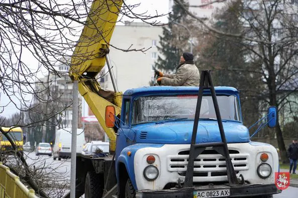 У Володимирі на Ковельській кронують дерева (фото)
