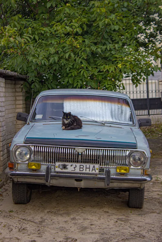«В міру виважений»: в мережі показали світлини вечірнього Луцька (фото)