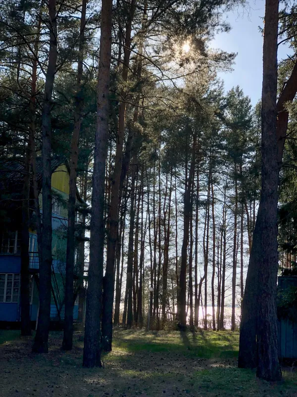 Море серед лісу: волинські морські краєвиди закохують мережу (фото)