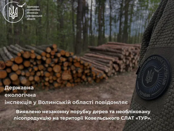 На Ковельщині знайшли масштабну незаконну рубку лісу (фото)