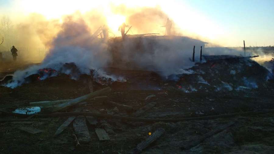 За добу на Волині зафіксували вісім випадків загорання трави (фото)