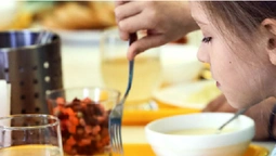 У Підгайцівській громаді 10 категорій дітей матимуть пільги на харчування у школах і дитсадках (фото, відео)