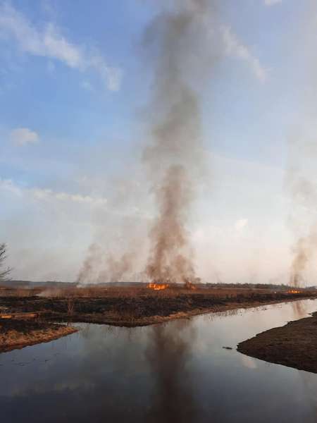 На Турійщині підпалили суху рослинність