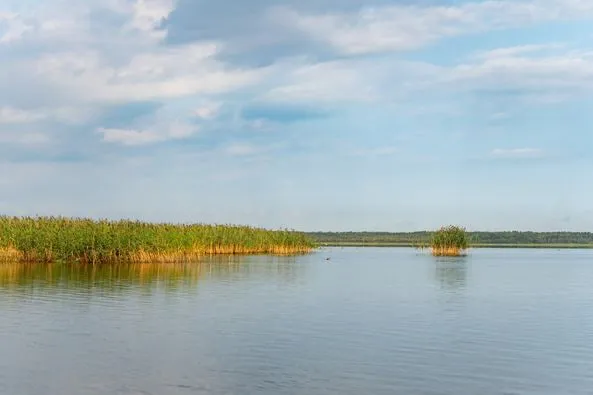 Тиша та мальовничий захід сонця на Пулемецькому озері (фото)