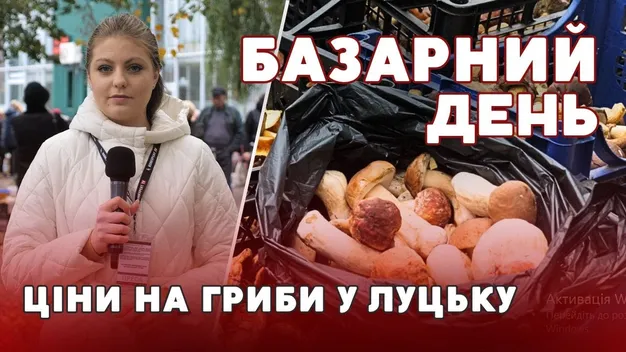 🍄Збирають в секретних місцях: які гриби продають на луцькому ринку (відео)