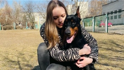 Пошук житла для сімей з тваринами: як у Луцьку облаштувалися переселенці (фото, відео)