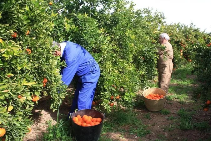 На польському ринку праці стало менше українців