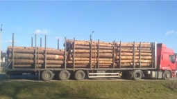 В Любомлі затримали вантажівку із незаконною лісопродукцією. ФОТО