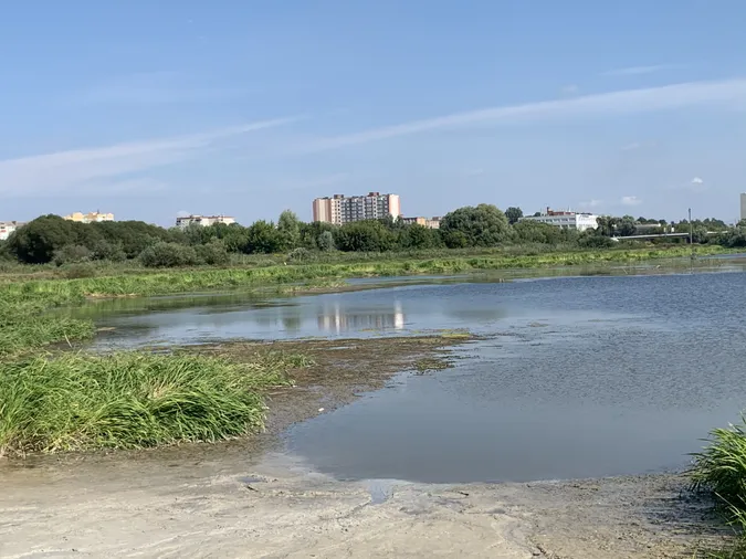 У Луцьку просять очистити заплаву Стиру