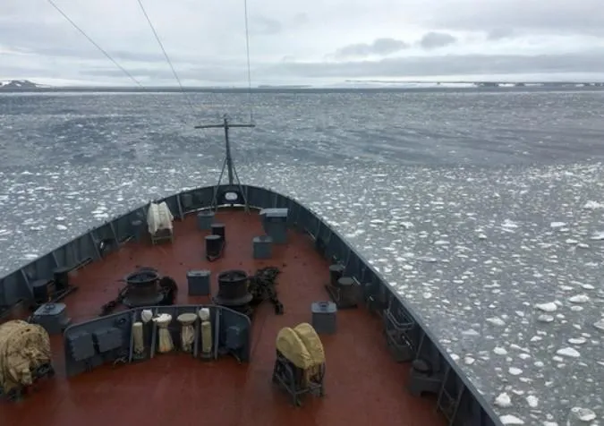 В Арктиці моржі атакували катер російських військових (фото)