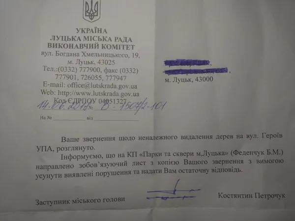 У Луцьку два роки обрізки дерев висять на електродротах (фото)