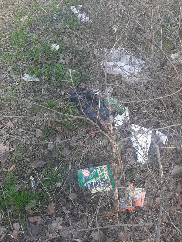 Не моє сміття, але моя планета: луцька школярка започаткувала корисний челендж (фото)