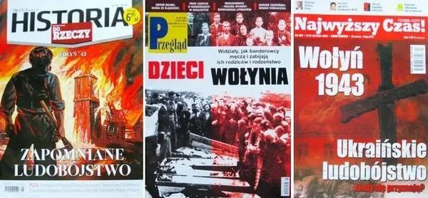 «Волинської історії можна більше знайти на польських сайтах», – науковець