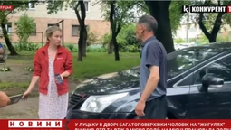У Луцьку чоловік на «Жигулях» пошкодив припарковану автівку та втік з місця ДТП (відео)