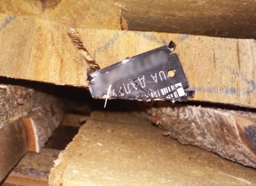 На Волині затримали  деревину із «липовими» документами (фото)