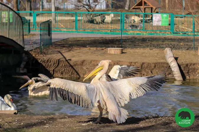 Екскурсії Луцьким зоопарком: ціни та умови