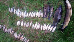 На Волині за тиждень 25 разів порушили правила рибальства (фото)