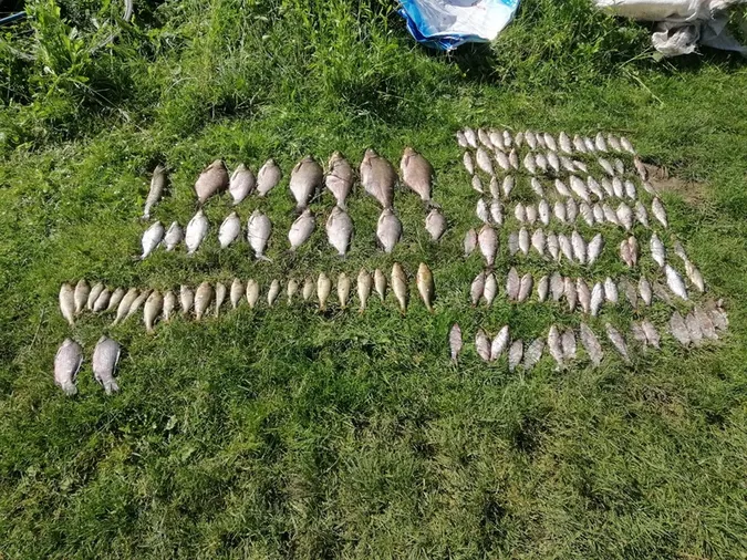 На Волині чоловіка судили за 18 кг риби
