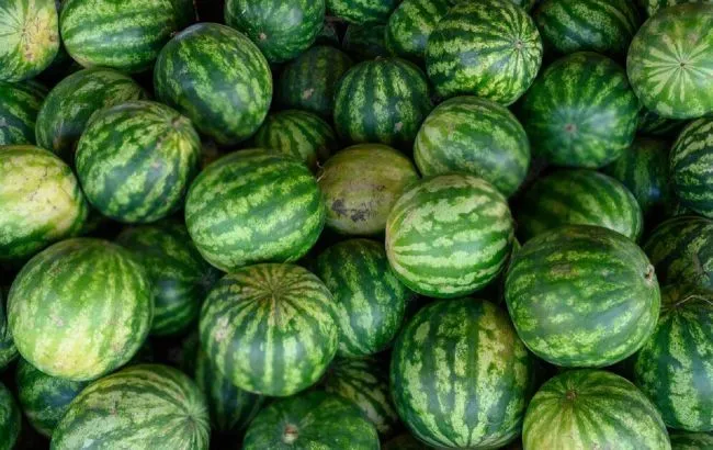Які кавуни категорично не можна їсти
