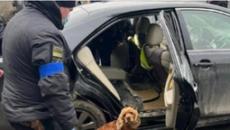 Сховала у днищі авто: українка намагалася вивезти за кордон 17 кг наркотиків (відео)