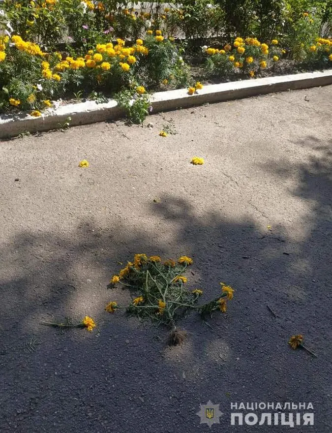 В Іваничах підлітки позривали квіти на Меморіалі Слави (фото)