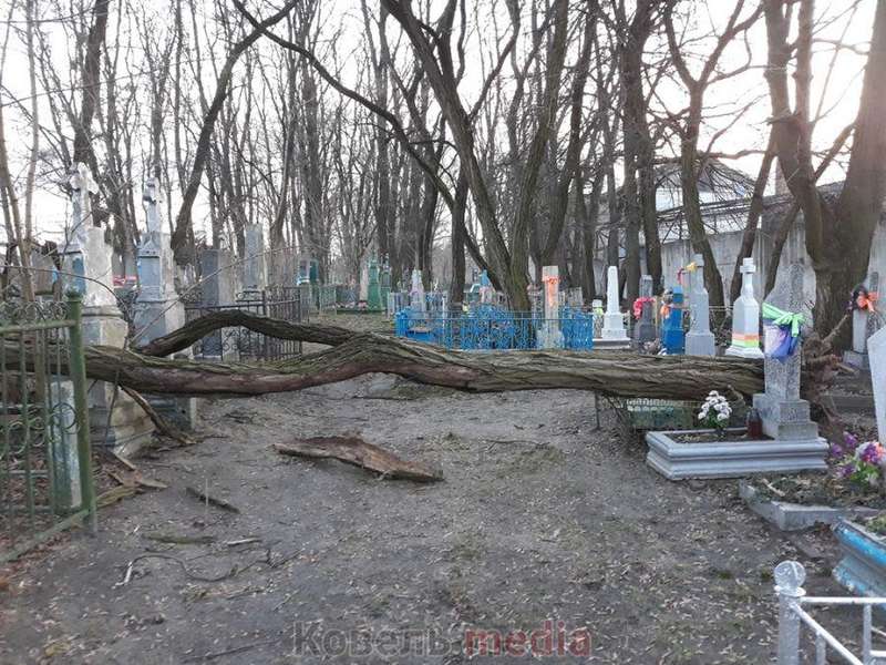 Пам’ятники розбиті: у Ковелі на кладовищі вітер повиривав дерева з корінням (фото, відео)