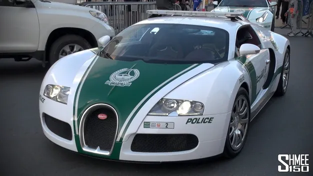 Автомобілі поліції з Дубаю потрапили до Книги рекордів Гіннесса (відео)