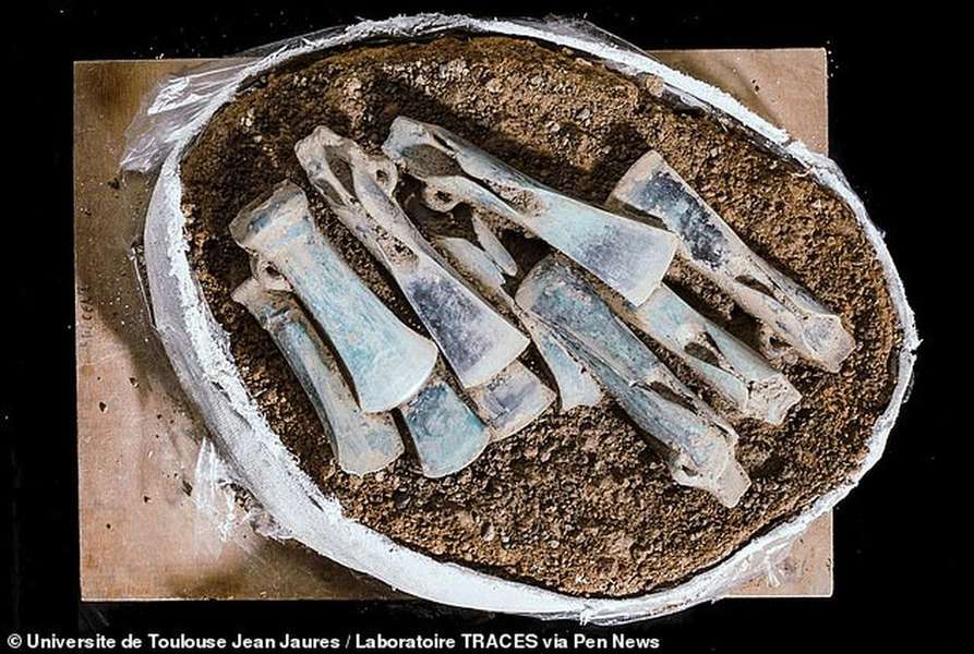 У Франції археологи знайшли «кельтську столицю» бронзової доби (фото)