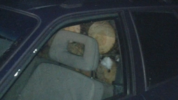 На Волині неповнолітній "підприємець" збував крадену деревину (фото) 