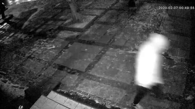 Департаменту мунварти в Луцьку розбили вікна (фото, відео)