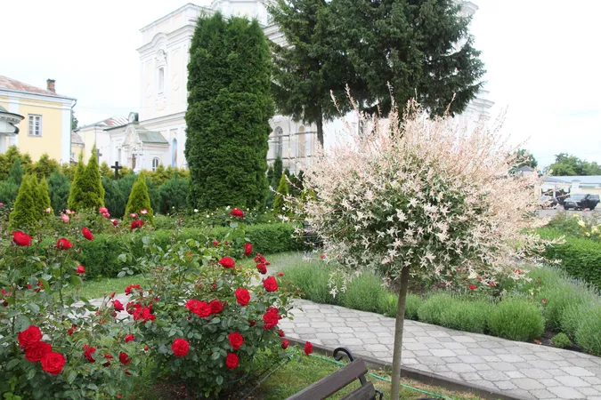 Казковий розарій розквітнув у луцькому соборі (фото)