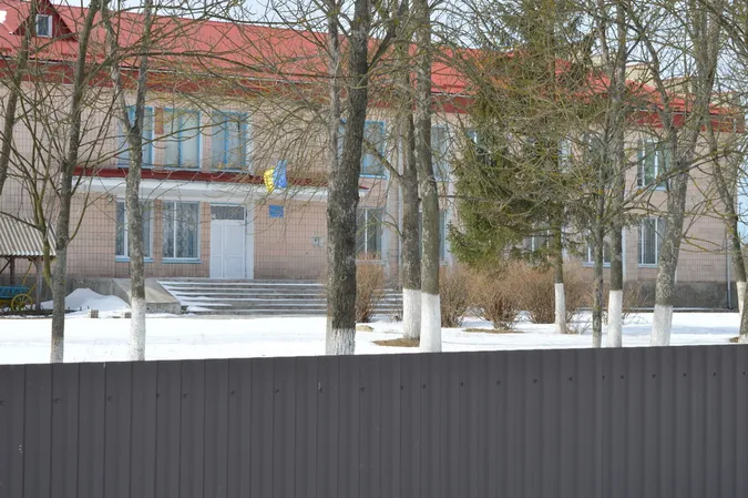 Готуй сани влітку: на Волині купують новорічні іграшки та вогні