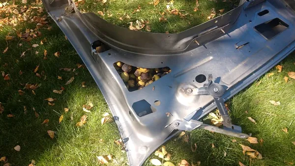 Зимова «заначка»: білка сховала в авто американця 70 кг горіхів (фото)