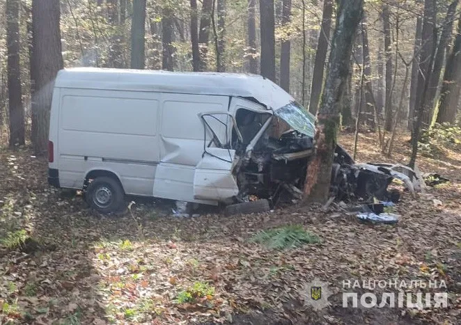 У Луцькому районі автомобіль врізався у дерево – загинуло немовля (фото)