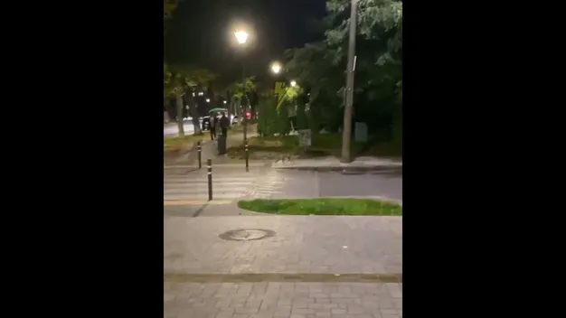 Центральними вулицями Луцька бігає хижа тварина (відео)