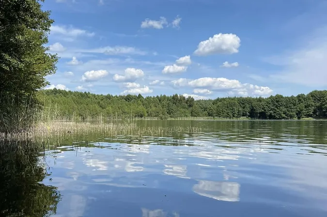 Краса і спокій: де на Волині причаїлося популярне озеро (фото)