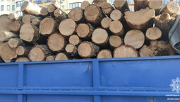 У Луцьку зупинили вантажівку з деревиною без маркування